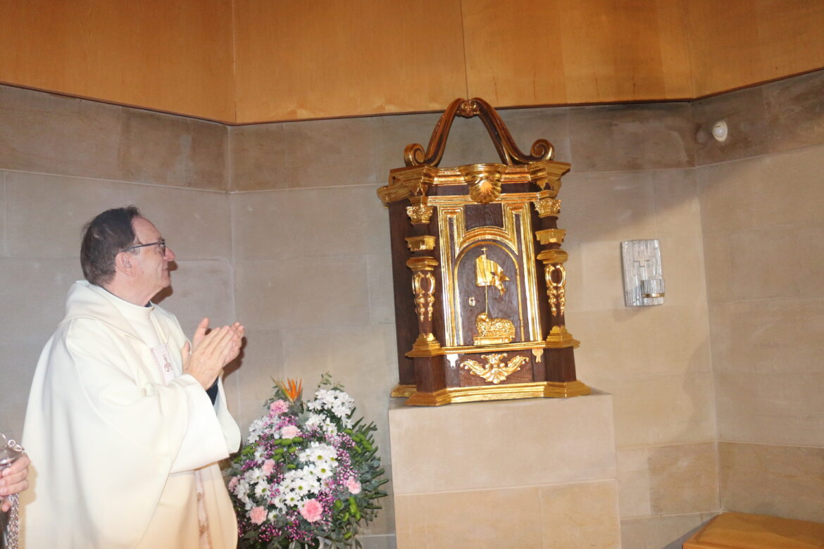 Celebración de la Festividad de San Francisco Javier (Misa Solemne…)